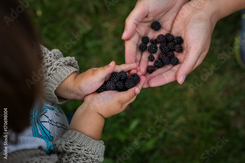 Wallpaper Mural Madre y niño cogiendo moras  Torontodigital.ca