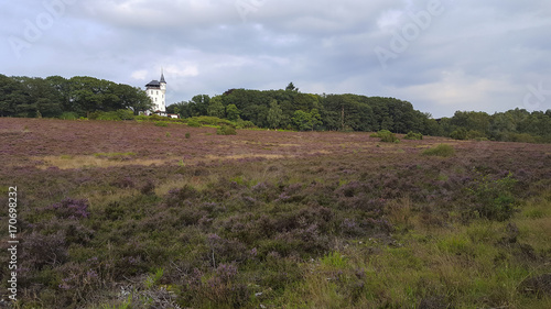 Estate De Sprengenberg with Palthe tower, Sallandse Heuvelrug NP, Overijssel, Netherlands