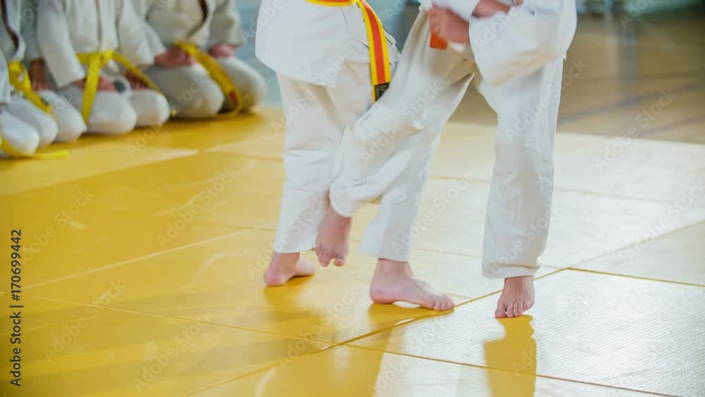 Two students are practising two of the judo moves on a yellow mat in
