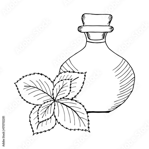 Mint oil bottle photo