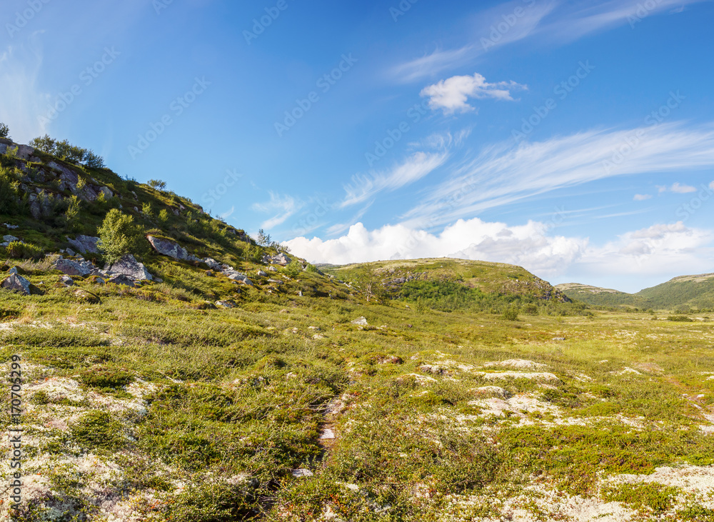 Hills in the mountain tundra in the north of Russia