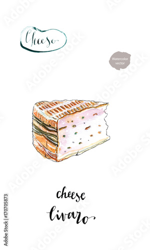 Watercolor piece of french cheese Livaro (Livarot)