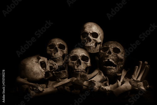 Awesome pile of skull human and bone on wooden, black cloth background. Still Life style, selective focus, photo