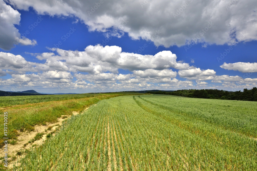Rural landscape in countryside of Beskid Niski, Poland Rural landscape in countryside of Beskid Niski, Poland