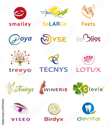 Ensemble de Quinze Logos et Icones - Conception Charte Graphique