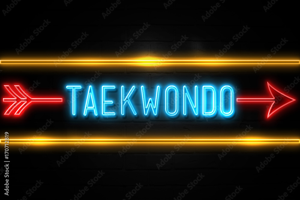 Taekwondo  - fluorescent Neon Sign on brickwall Front view