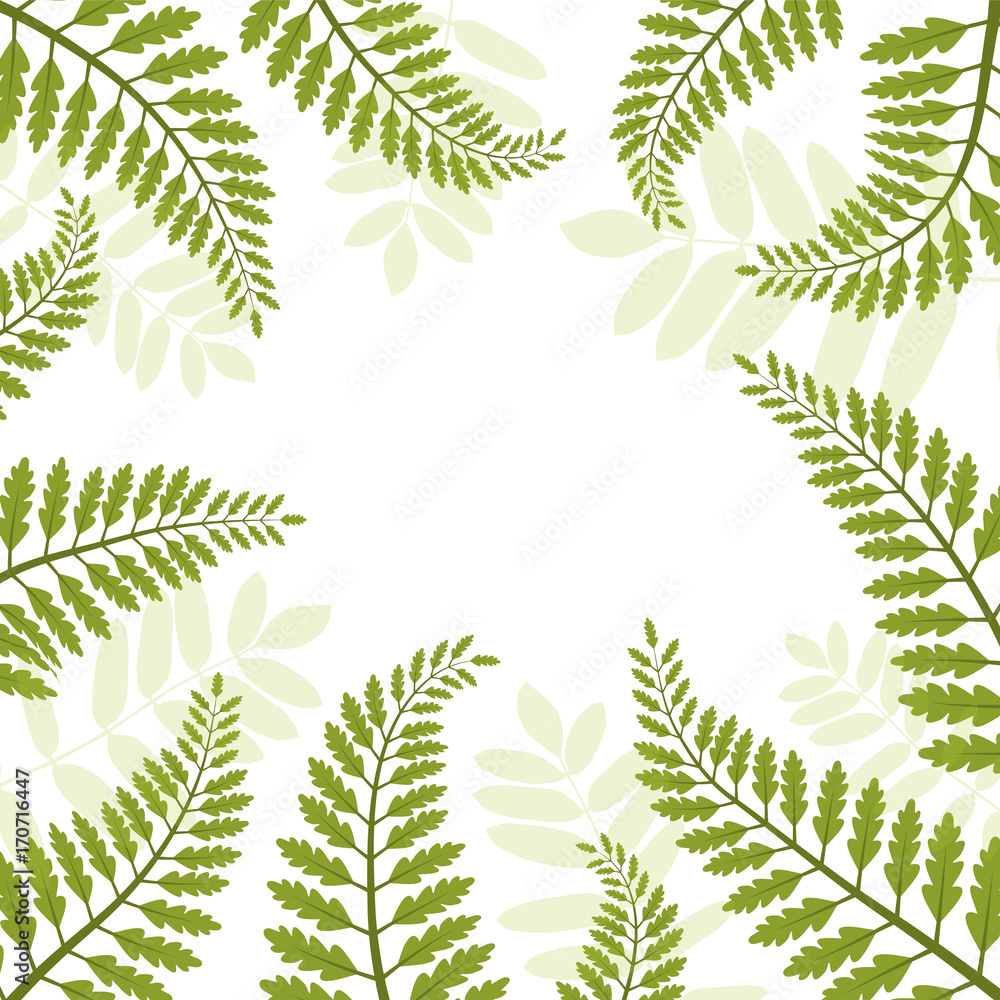 Beautiful foliage - fern leaves VECTOR frame 