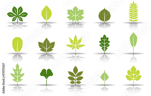 Blätter Herbst & Frühling - Frühlingsfarben (Schatten)