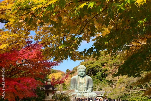 Great Buddha ~ autumn Leaves