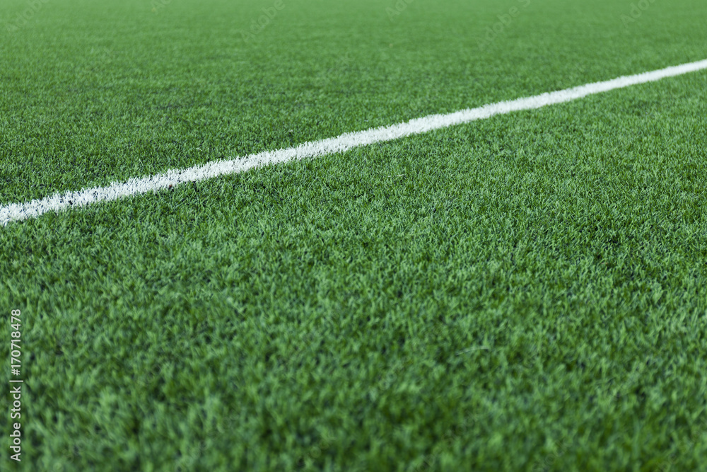Football or soccer stadium grass white line