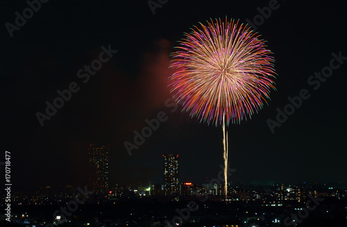 Firework display in Tokyo
