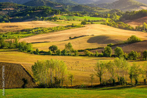 Stunning beautiful landscape view of Tuscany fields at Barberino di Mugello in the Italian region Tuscany in summer