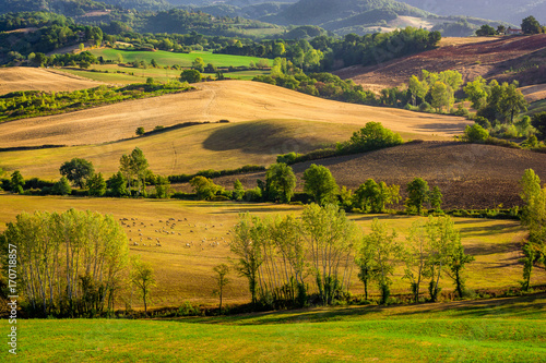 Stunning beautiful landscape view of Tuscany fields at Barberino di Mugello in the Italian region Tuscany in summer