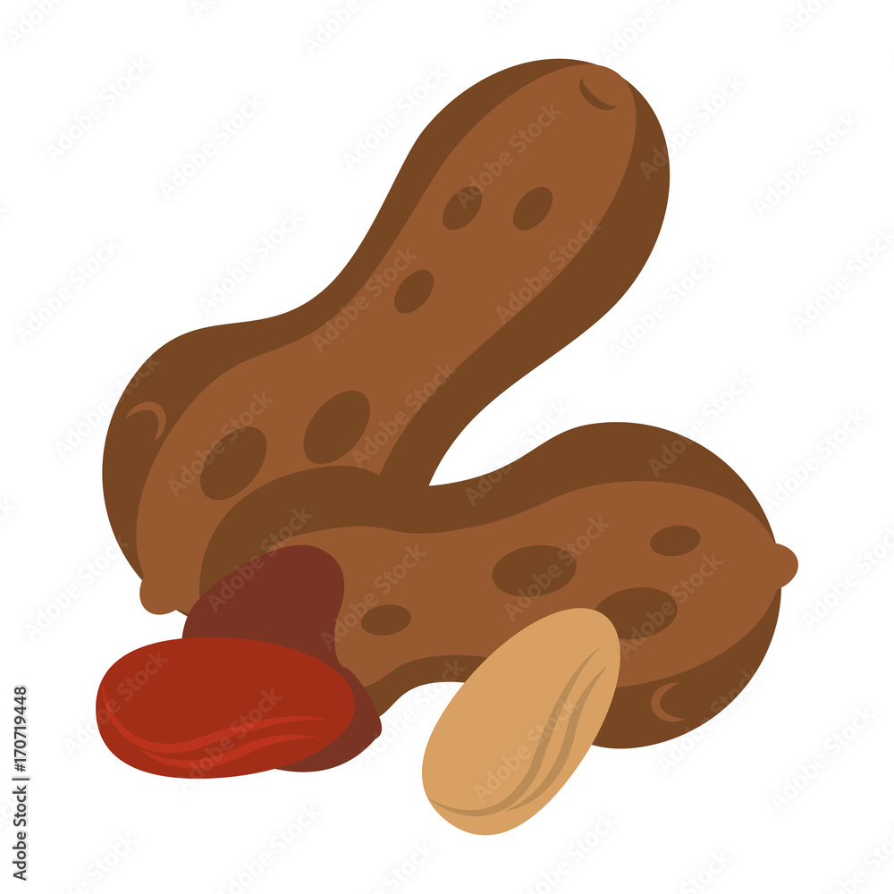 peanut in shell and without nut icon image vector illustration design peanut in shell and without nut icon image vector illustration design
