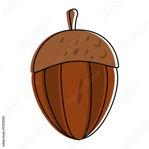 chestnut nut icon image vector illustration design 