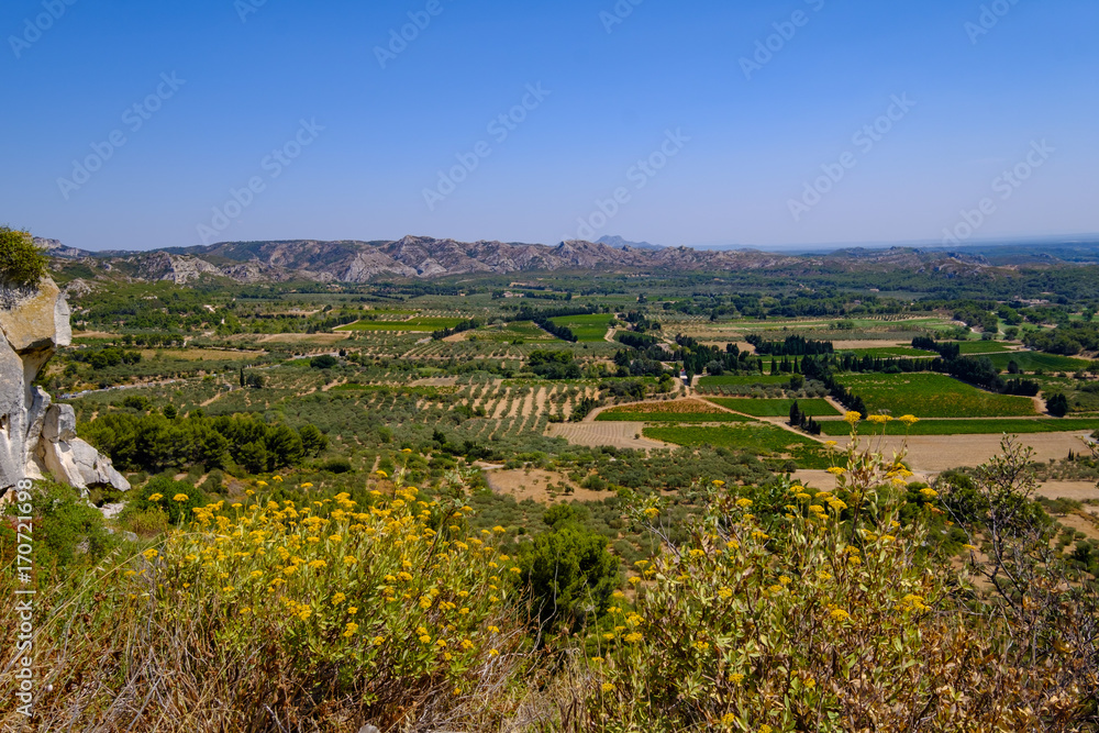 Vue depuis le sommet du village Des-Baux-de-Provence. France, Provence. Massif des Alpilles, des vignobls, des oliviers.