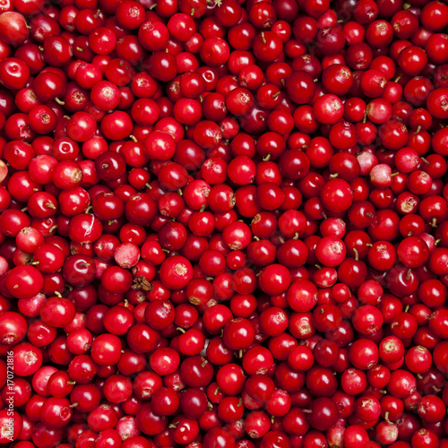 square. cranberries
