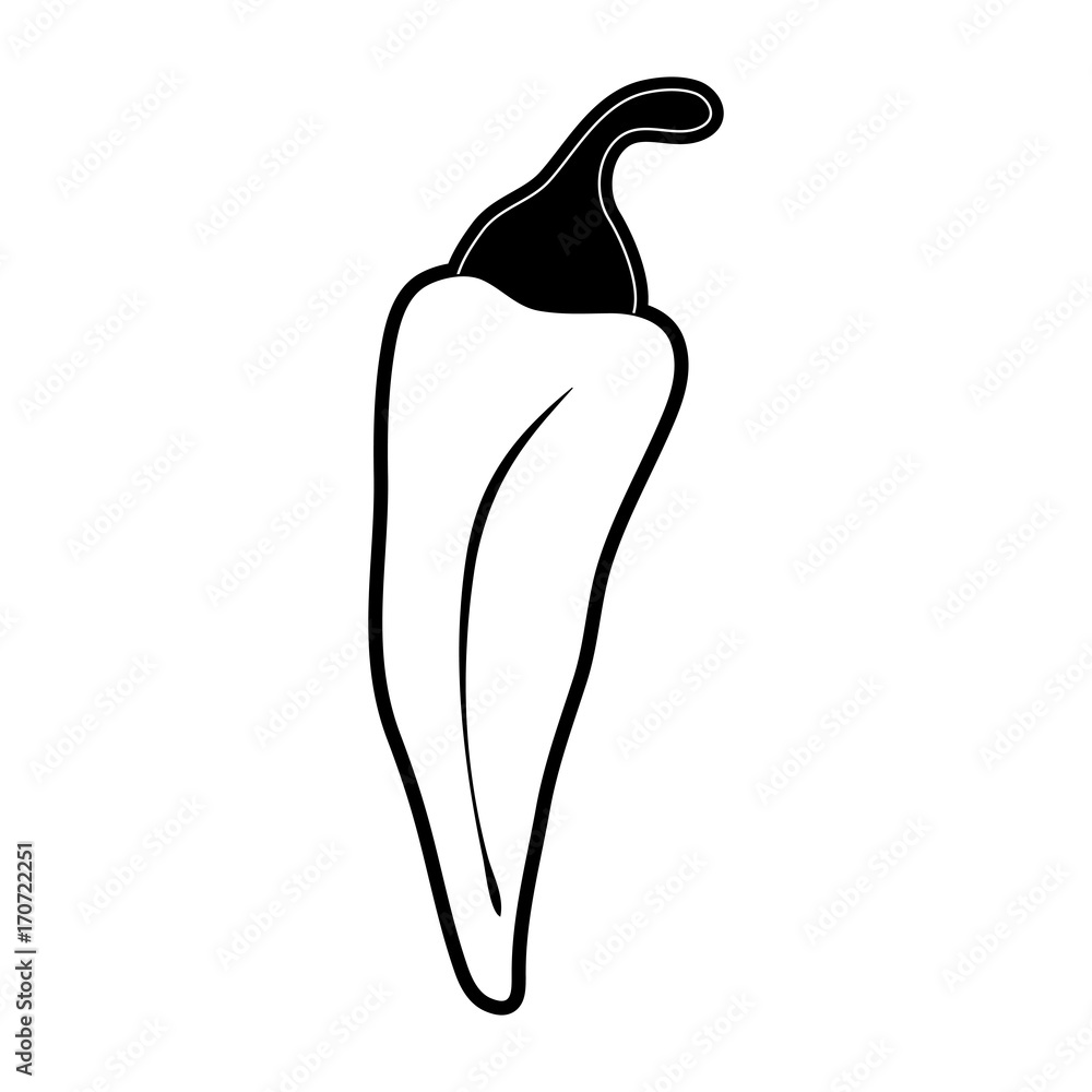 chili pepper vegetable icon image vector illustration design black and white chili pepper vegetable icon image vector illustration design black and white