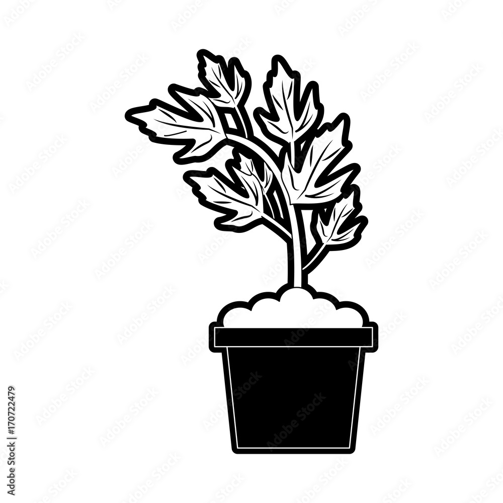 plant in pot icon image vector illustration design black and white plant in pot icon image vector illustration design black and white