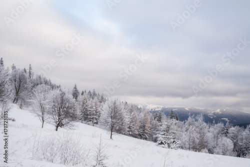 Winter landscape in Bavaria © sandradombrovsky