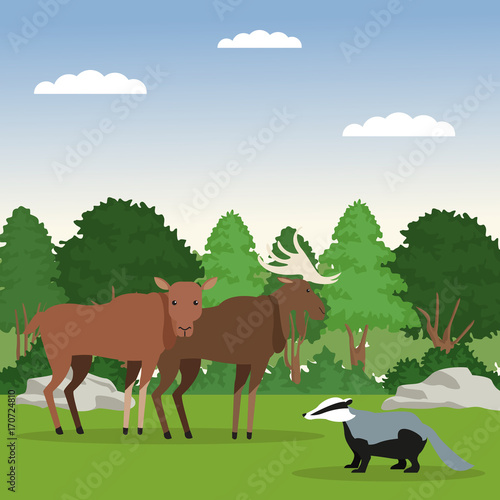 Forest animals cartoon over white background vector illustration graphic design