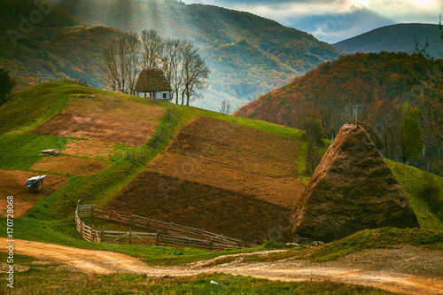 Bilde på lerret autumn landscape in Apuseni mountains, Transylvania, Romania