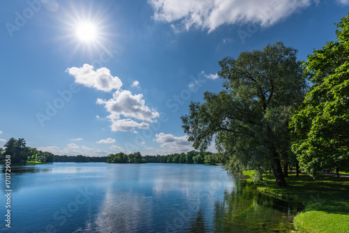 Lake in a natural park with trees growing on the banks