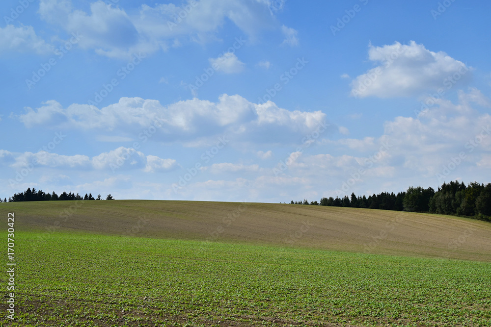 Obraz premium Agricultural landscape with fields and forest.