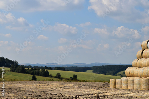 Landscape on the farm. Round bales of straw straightened to a pile. photo