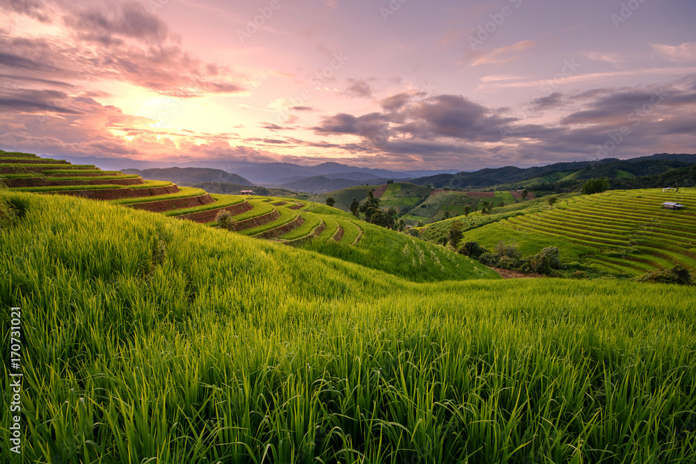 Obraz premium Beautiful step of rice terrace paddle field in sunset at Chiangmai, Thailand. Chiangmai is beautiful in nature place in Thailand, Southeast Asia. Travel concept.