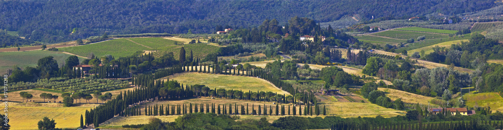 Toskana-Panorama, bei Montespertoli