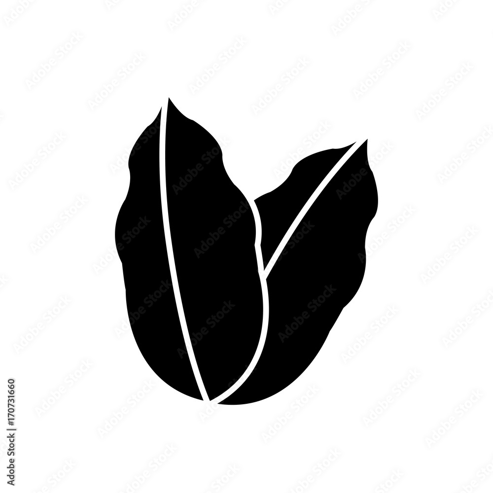leaves eco symbol icon vector illustration graphic design leaves eco symbol icon vector illustration graphic design