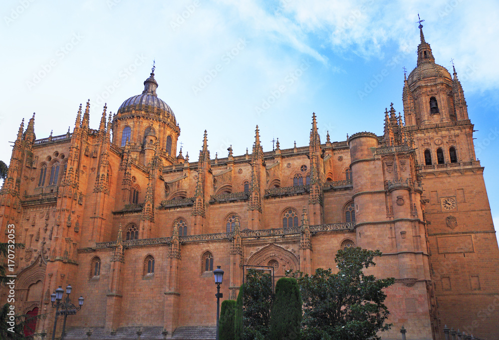 Salamanca Old and New Cathedralsin late afternoon, Spain