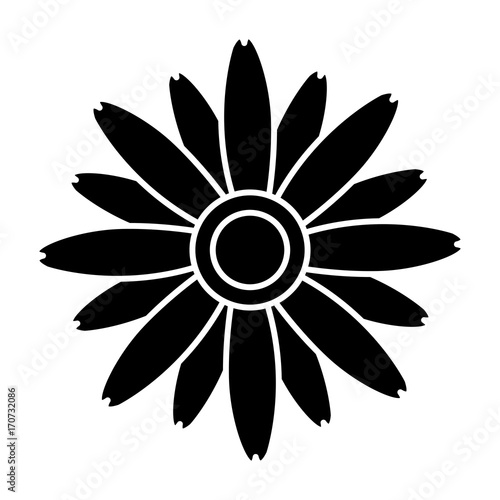 Beautiful decorative flowers icon vector illustration graphic design