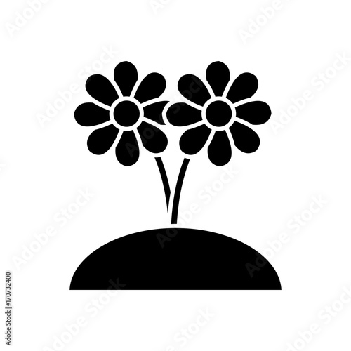 Beautiful planted flowers icon vector illustration graphic design