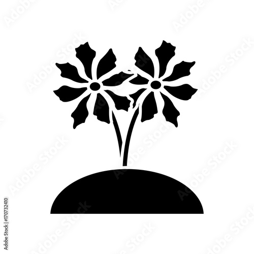 Beautiful planted flowers icon vector illustration graphic design