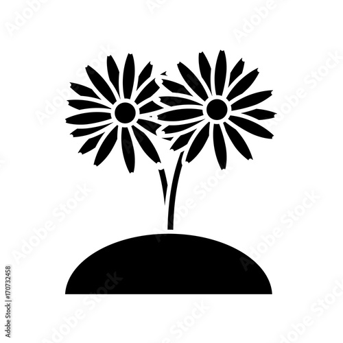 Beautiful planted flowers icon vector illustration graphic design
