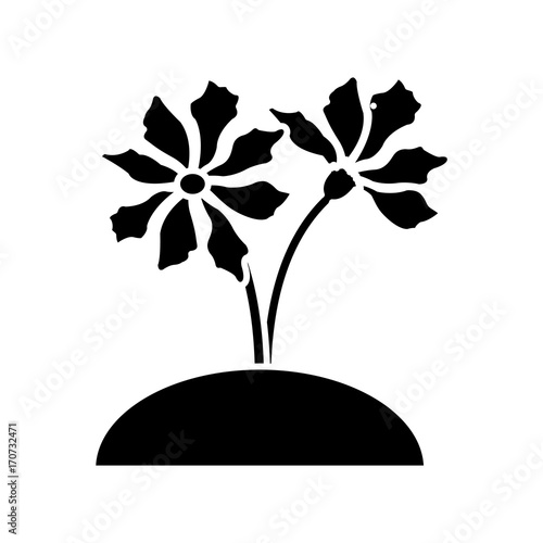 Beautiful planted flowers icon vector illustration graphic design