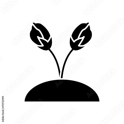 Beautiful planted flowers icon vector illustration graphic design