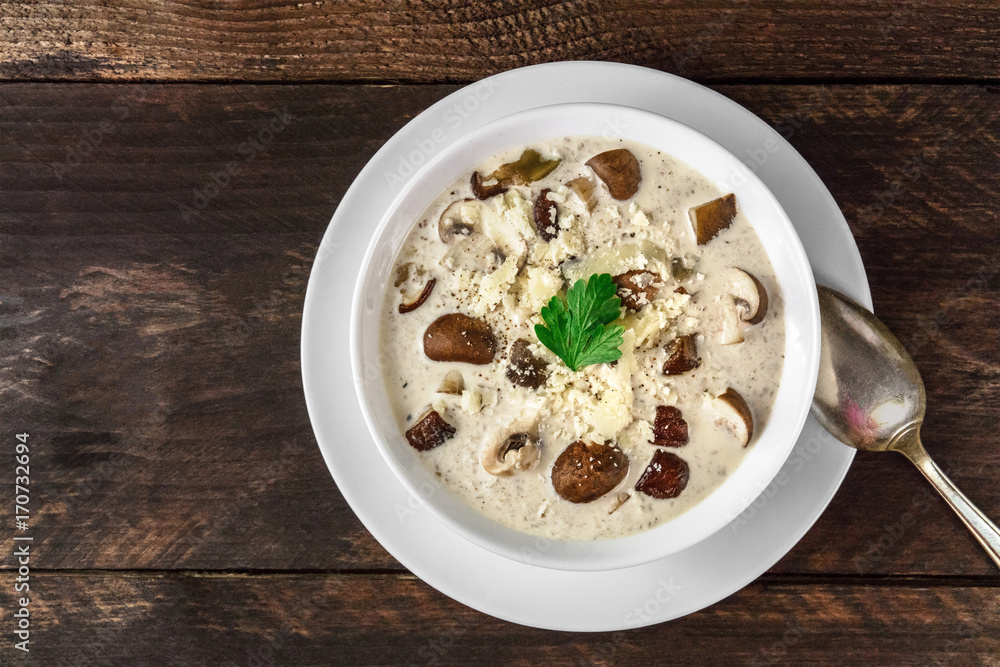 Plate of mushroom soup, top view with copy space Plate of mushroom soup, top view with copy space