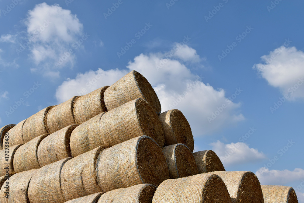 Round bales of straw straightened to a pile. Background of the sky Round bales of straw straightened to a pile. Background of the sky