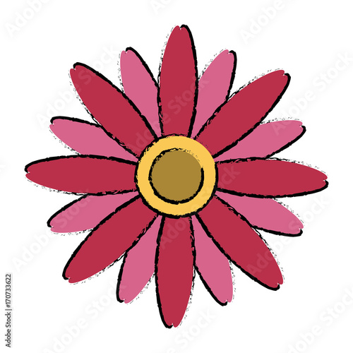 Beautiful decorative flowers icon vector illustration graphic design