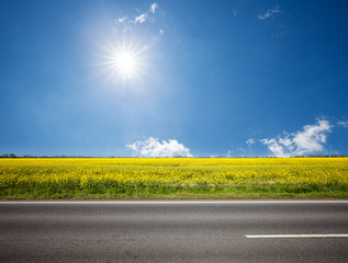 Asphalt road among the summer sunny field