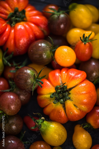 Close view on farm fresh tomatoes