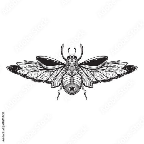 Beetle bug tattoo drawing. Scarab bug illustration © kssss