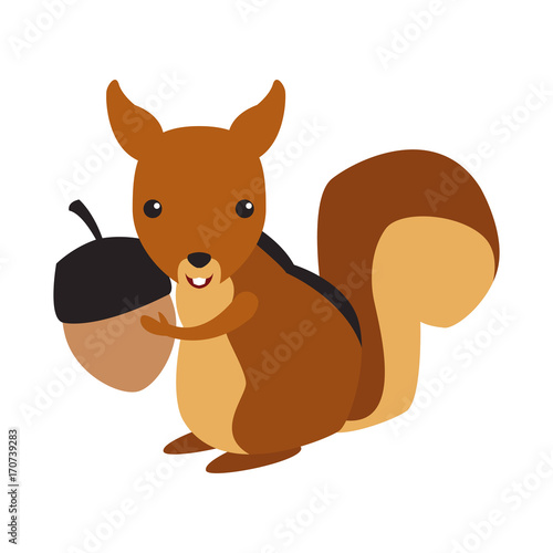 Squirrel animal cartoon icon vector illustration graphic design