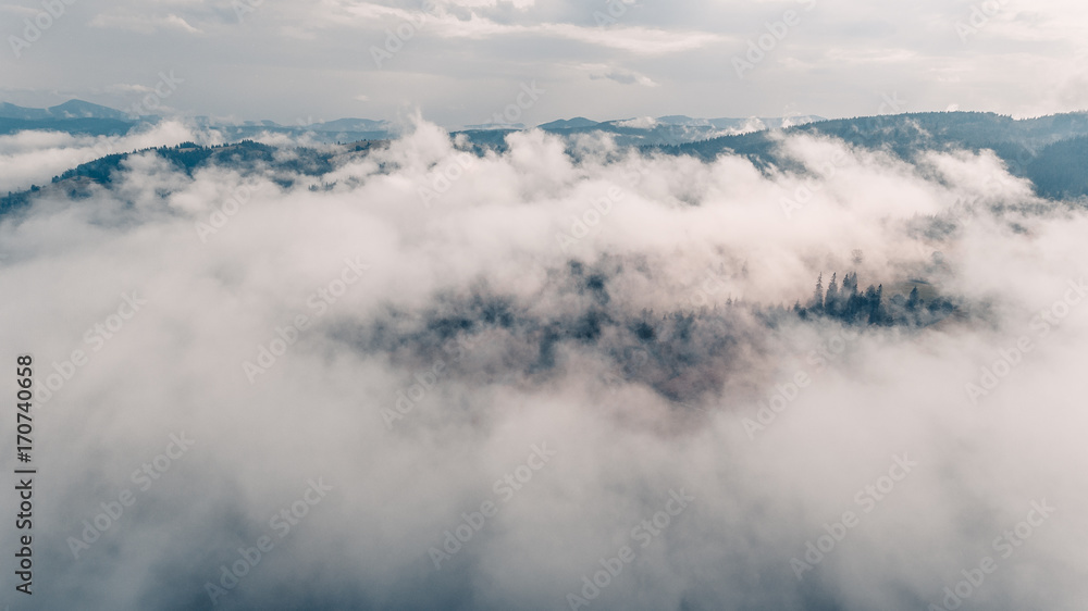 amazing view of mountains in the morning mist. aerial photography