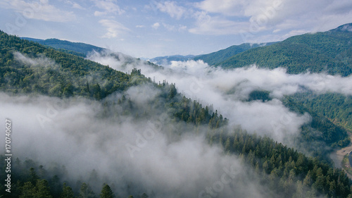 Aerial View of mountains covered with pine forest in the morning mist.