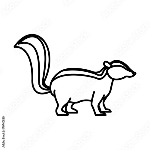 Skunk animal cartoon icon vector illustration graphic design