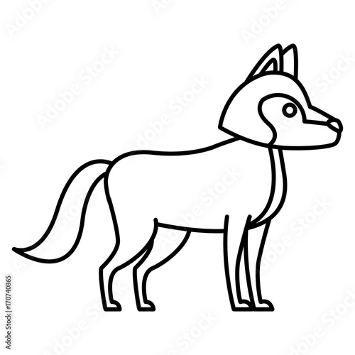 Wolf cartoon animal icon vector illustration graphic design